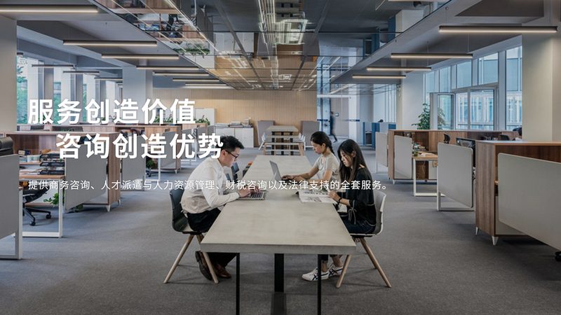人力资源管理咨询流程规范：解码企业高效运营之道**
