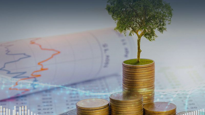 加盟管理咨询公司，哪些标准与规范不能忽视？**